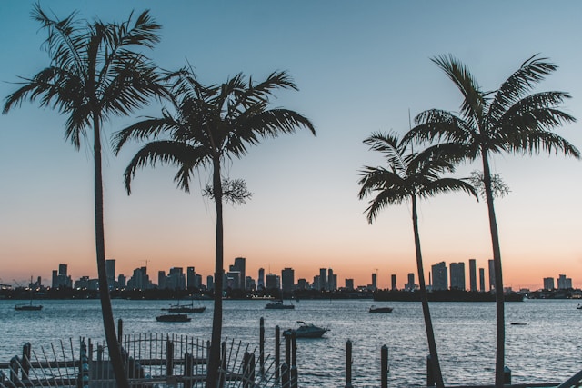 The Miami skyline from across the bay at sunset
