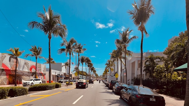 a street with palm trees and stores with a blue sky