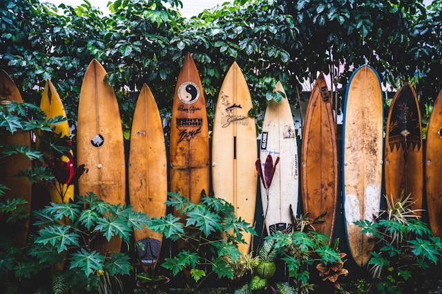 a line of surfboards standing up next to each other
